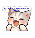 アメリカンショートヘア - 日常用語（J2）（個別スタンプ：18）