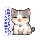 アメリカンショートヘア - 日常用語（J2）（個別スタンプ：19）