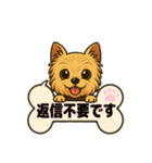 My memories with COCOA（個別スタンプ：1）