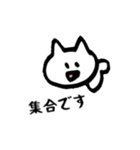 白ねこ、丁寧に話します。敬語のスタンプ！（個別スタンプ：35）