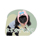 CONALUA♡Yorkiepoo 2-1（個別スタンプ：27）