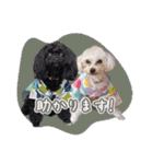 CONALUA♡Yorkiepoo 2-1（個別スタンプ：28）