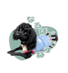 CONALUA♡Yorkiepoo 2-1（個別スタンプ：32）