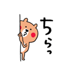 わりと無難なあいさつくまさん（個別スタンプ：1）