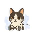 2＋3家族（個別スタンプ：3）