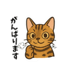 2＋3家族（個別スタンプ：5）
