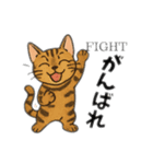 2＋3家族（個別スタンプ：12）