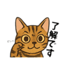2＋3家族（個別スタンプ：15）