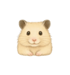 ハムスターのもけちゃんとハムぽこ（個別スタンプ：2）