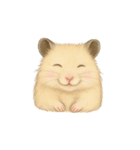 ハムスターのもけちゃんとハムぽこ（個別スタンプ：3）