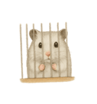 ハムスターのもけちゃんとハムぽこ（個別スタンプ：5）