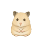 ハムスターのもけちゃんとハムぽこ（個別スタンプ：9）