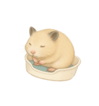 ハムスターのもけちゃんとハムぽこ（個別スタンプ：10）