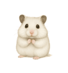 ハムスターのもけちゃんとハムぽこ（個別スタンプ：11）