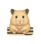 ハムスターのもけちゃんとハムぽこ（個別スタンプ：14）