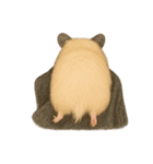ハムスターのもけちゃんとハムぽこ（個別スタンプ：15）