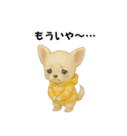 チワワ ちょっと毒舌（個別スタンプ：30）