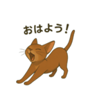 猫かわゆす1！(アニメ風)（個別スタンプ：1）