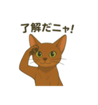 猫かわゆす1！(アニメ風)（個別スタンプ：3）