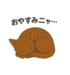 猫かわゆす1！(アニメ風)（個別スタンプ：5）