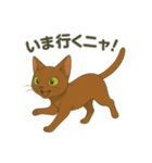 猫かわゆす1！(アニメ風)（個別スタンプ：6）