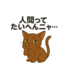 猫かわゆす1！(アニメ風)（個別スタンプ：7）