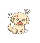 犬かわゆす！(ペコくん)（個別スタンプ：4）