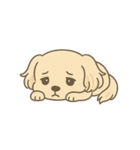 犬かわゆす！(ペコくん)（個別スタンプ：6）