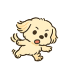 犬かわゆす！(ペコくん)（個別スタンプ：12）