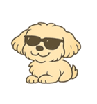 犬かわゆす！(ペコくん)（個別スタンプ：13）