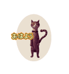 SEN Stamp 2（個別スタンプ：2）