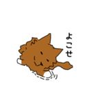 白靴下をはいたイッヌ（個別スタンプ：13）
