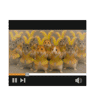 ハッピーなハムスター達（個別スタンプ：8）