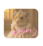 ハッピーなハムスター達（個別スタンプ：18）