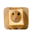 ハッピーなハムスター達（個別スタンプ：31）