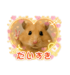 ハッピーなハムスター達（個別スタンプ：35）