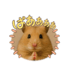 ハッピーなハムスター達（個別スタンプ：37）
