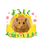 ハッピーなハムスター達（個別スタンプ：38）