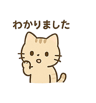 やさしいネコの日常スタンプ1（個別スタンプ：1）