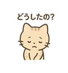 やさしいネコの日常スタンプ1（個別スタンプ：15）