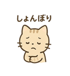 やさしいネコの日常スタンプ1（個別スタンプ：16）