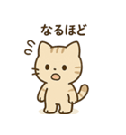 やさしいネコの日常スタンプ1（個別スタンプ：25）