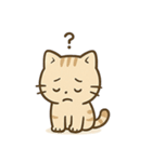 やさしいネコの日常スタンプ1（個別スタンプ：34）