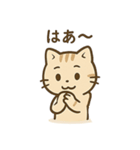 やさしいネコの日常スタンプ1（個別スタンプ：35）