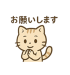 やさしいネコの日常スタンプ1（個別スタンプ：37）