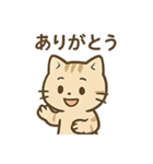 やさしいネコの日常スタンプ1（個別スタンプ：38）