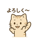 やさしいネコの日常スタンプ1（個別スタンプ：39）