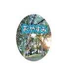 チョウが多めのスタンプ（個別スタンプ：2）