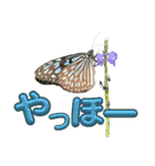 チョウが多めのスタンプ（個別スタンプ：21）