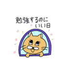勉強する月猫（個別スタンプ：29）